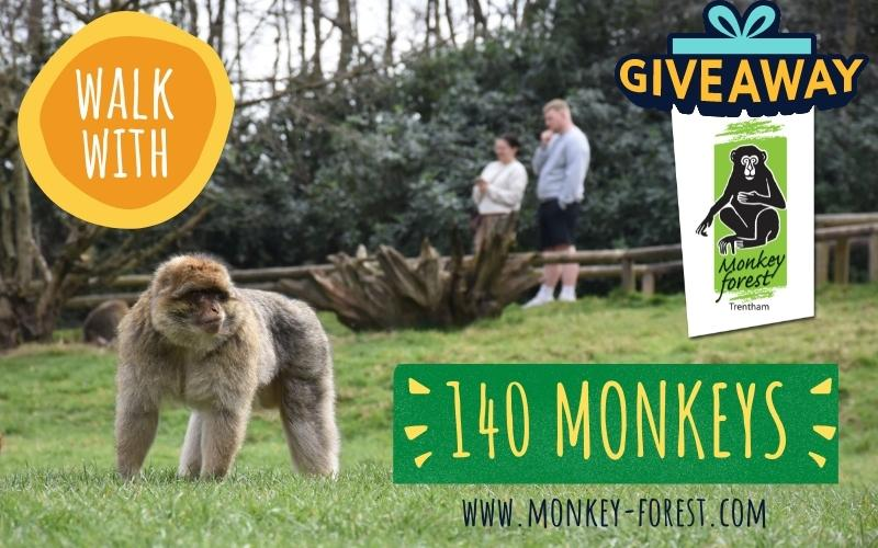 Trentham Monkey Forest Family Ticket