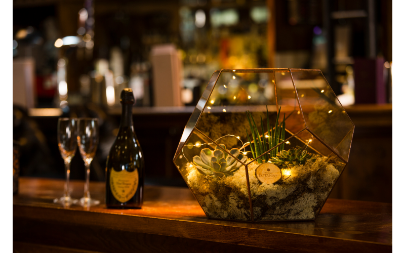 Win Supersize Terrarium from The Urban Botanist £200 Red Competitions