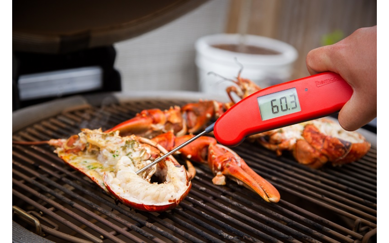 Image: https://d156t06c5w8ykm.cloudfront.net/competitiondesign/kitchen_thermometer_housebeautiful_800x500.jpg Thermapen One